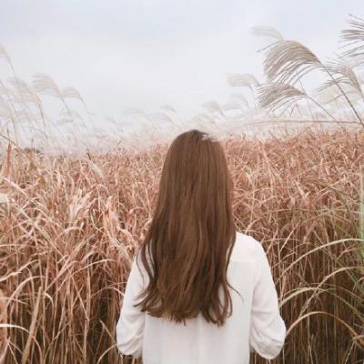微信女生简单气质背影头像