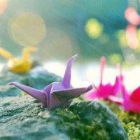 超全清新唯美千纸鹤头像图片