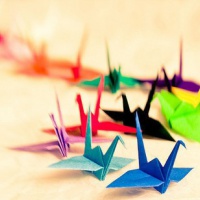 超全清新唯美千纸鹤头像图片