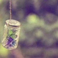 超全清新唯美千纸鹤头像图片