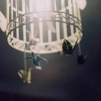 超全清新唯美千纸鹤头像图片