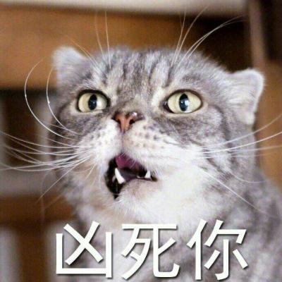 超可爱猫咪带字高清头像
