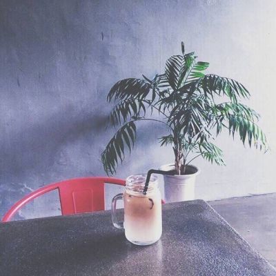 清新脱俗的唯美静物风景头像