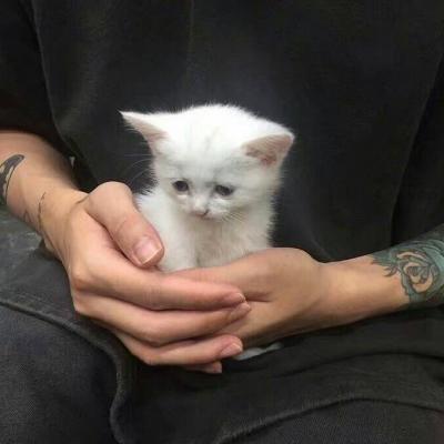 独特魅力非主流帅哥大图头像