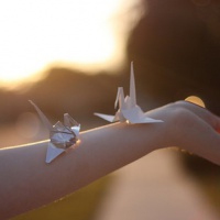 超全清新唯美千纸鹤头像图片