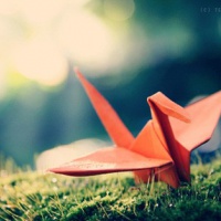 超全清新唯美千纸鹤头像图片