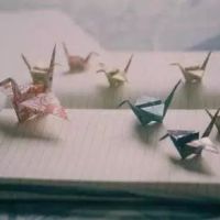 超全清新唯美千纸鹤头像图片