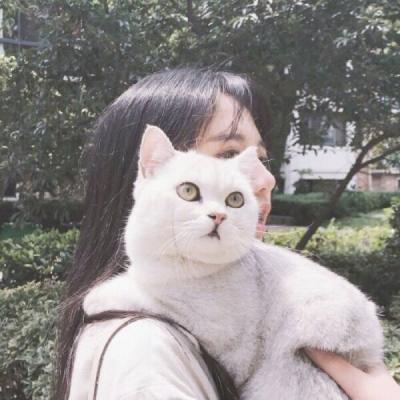 女生抱着猫咪头像