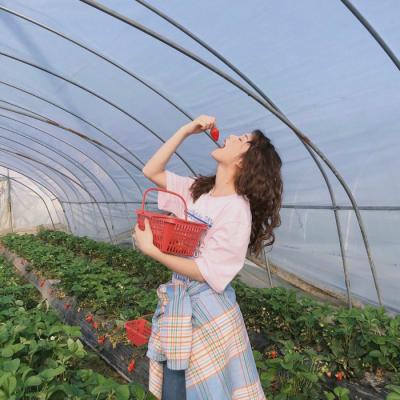 女生唯美有气质小清新头像
