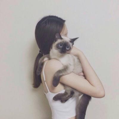 女生抱着猫咪头像