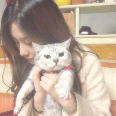 女生抱着猫咪头像