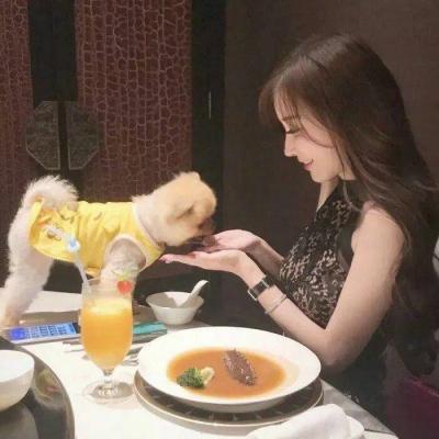 女生抱着宠物的可爱头像
