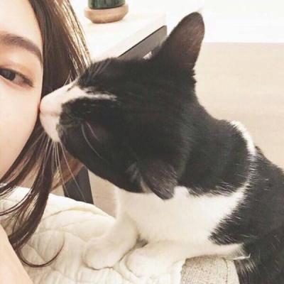 女生抱着猫咪头像