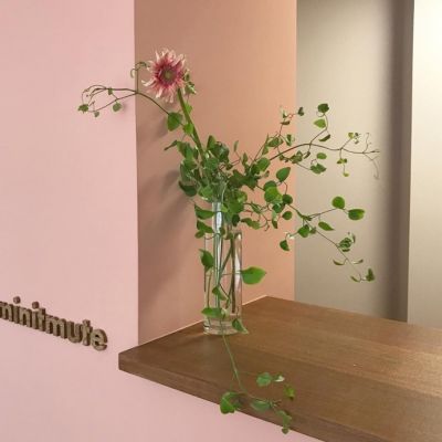 简约干净风高级感头像