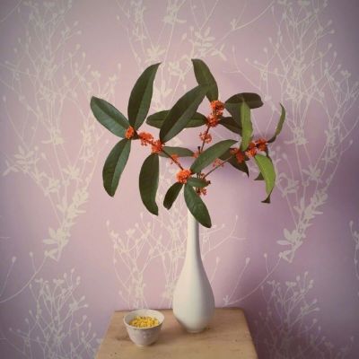 简约干净风高级感头像