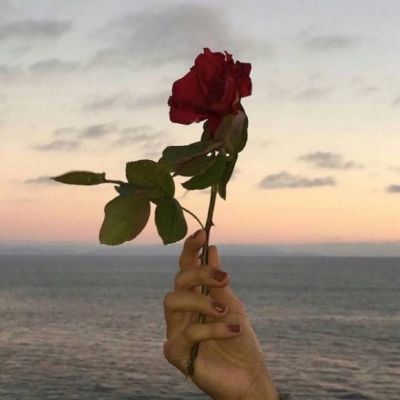 简约干净风高级感头像