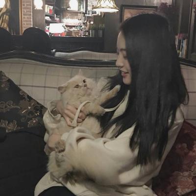 女生抱着猫咪头像
