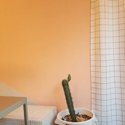 简约干净风高级感头像