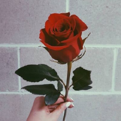 简约干净风高级感头像