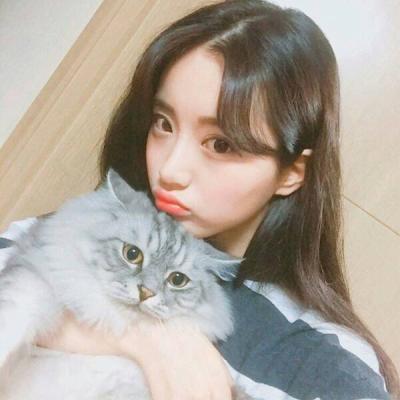 女生抱着猫咪头像