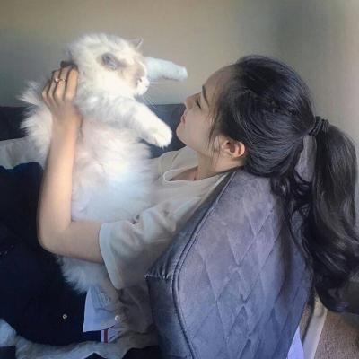 女生抱着猫咪头像