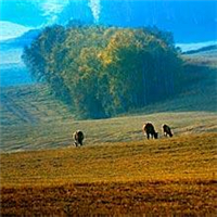 qq头像风景唯美图片