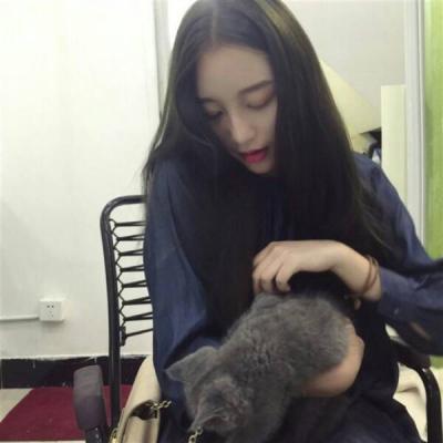 女生抱着猫咪头像