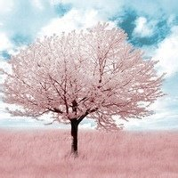 qq头像风景唯美图片