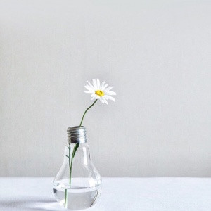 唯美意境灯泡头像图片