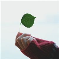 女生手部清新头像图片