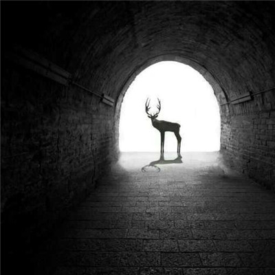 一眼沦陷的有内涵有深度高级感高品质高格调头像图片