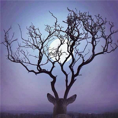 一眼沦陷的有内涵有深度高级感高品质高格调头像图片