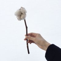 女生手部清新头像图片