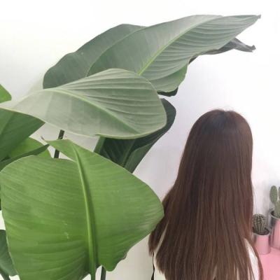 大气有格局微信头像女背影唯美图片