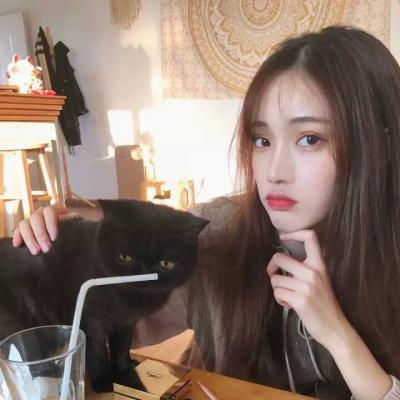2025微信女生简单气质头像图片