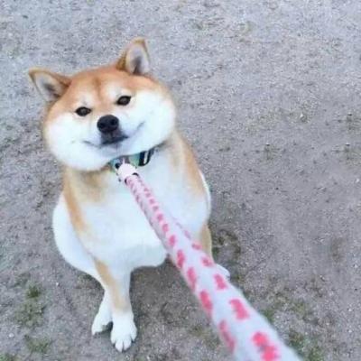 又土又丑的情侣头像