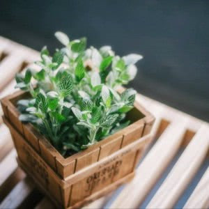 禅意静心修心高清微信头像