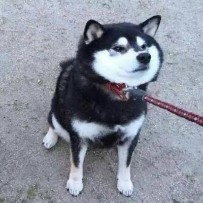 又土又丑的情侣头像