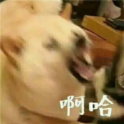 又土又丑的情侣头像