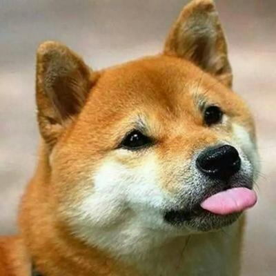 又土又丑的情侣头像