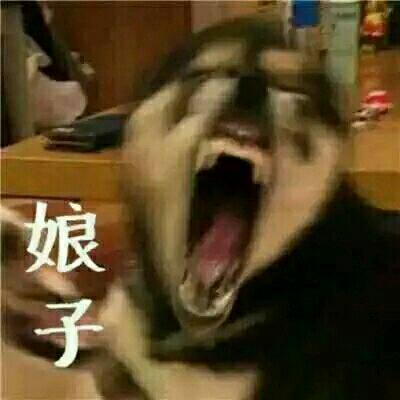 又土又丑的情侣头像