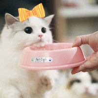小猫咪头像可爱