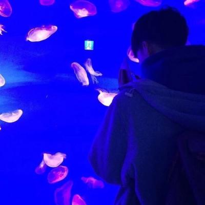 风景唯美人物情侣头像一对两张图片