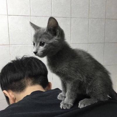 帅哥头像高清冷酷一个人图片
