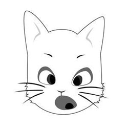 可爱猫简笔画头像