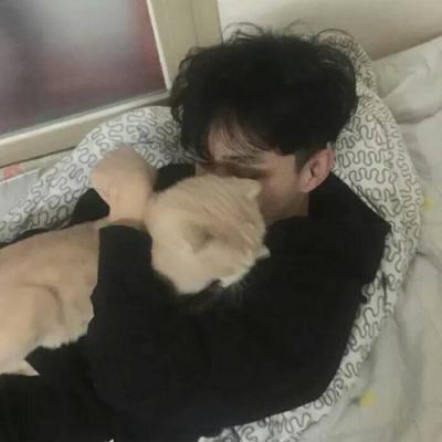 男生头像抱着宠物的图片