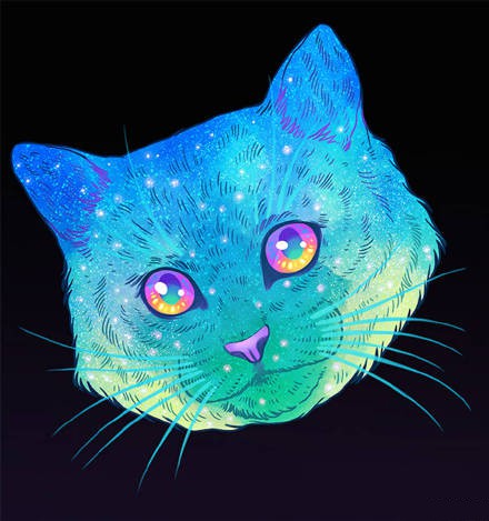 头像霸气冷酷猫咪