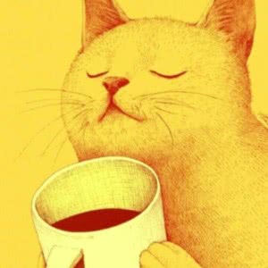 适合做微信头像的猫咪图片