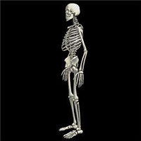 超酷骷髅人头像图片