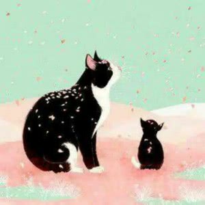 适合做微信头像的猫咪图片